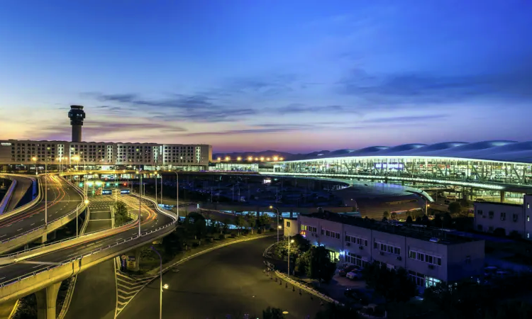 Nanjing Lukou nemzetközi repülőtér