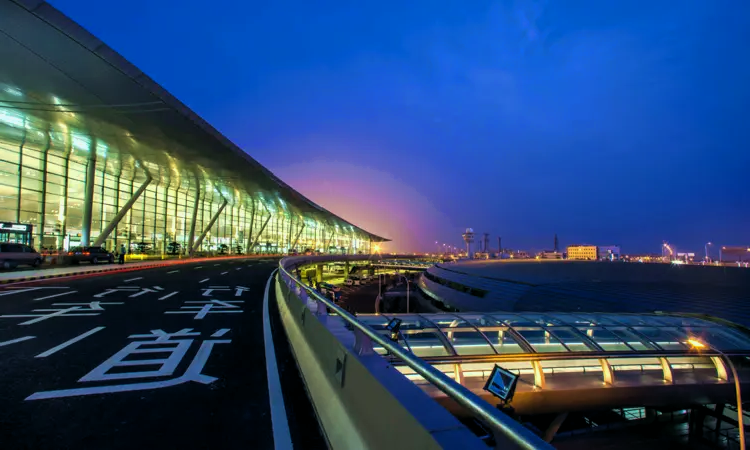 Nanjing Lukou nemzetközi repülőtér